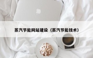 保亭蒸汽节能网站建设（蒸汽节能技术）